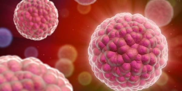 El linfoma de Hodgkin es un tipo de cáncer de sangre