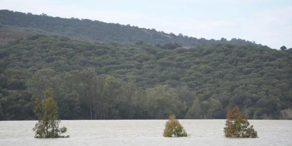 Imagen del pantano de Bornos, que superó su capacidad de embalsamiento la semana del 6 de febrero.