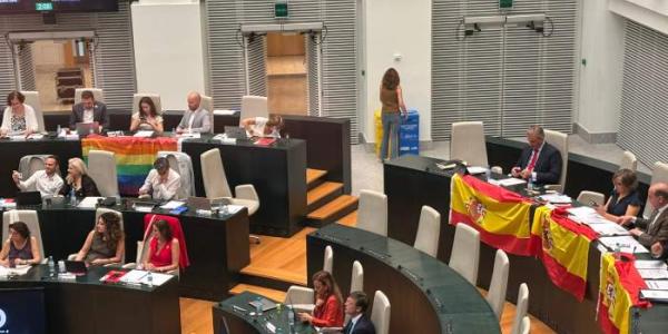 El Pleno con banderas de España en la bancada de Vox y arcoíris en el escaño de María caso
