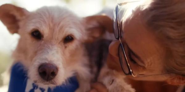 perro con una persona mayor