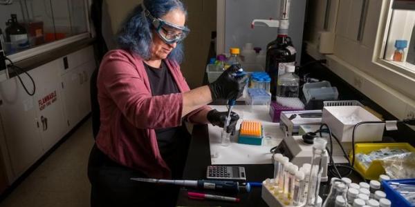 Marya Lieberman, de la Universidad de Notre Dame (Francia), trabaja en su laboratorio de investigación