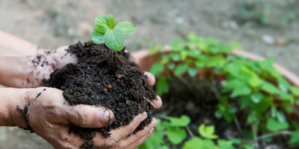 El medio ambiente y su relación con la industria de la farmacia