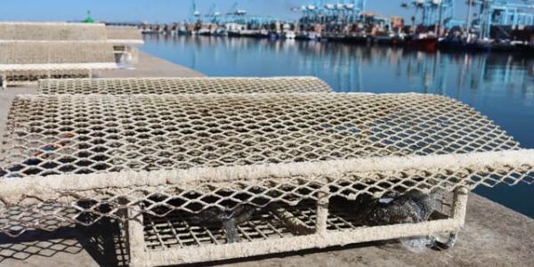 Microarrecifes biomiméticos