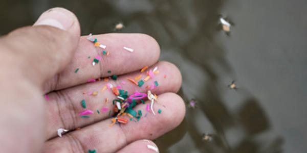 Los daños de los microplásticos en el organismo