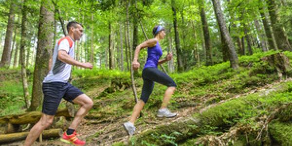 Las mioquinas y el ejercicio físico