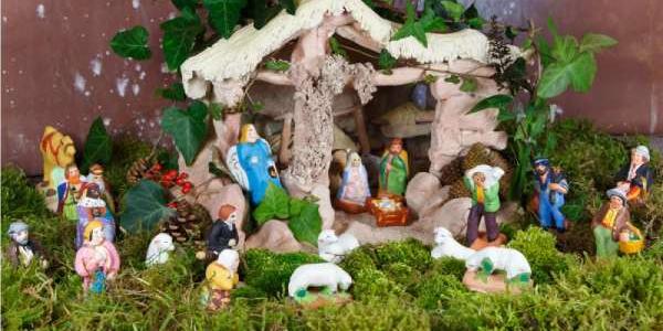 El musgo natural en los belenes navideños queda muy bien, pero daña ecosistemas