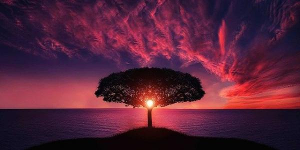 La naturaleza en estado puro