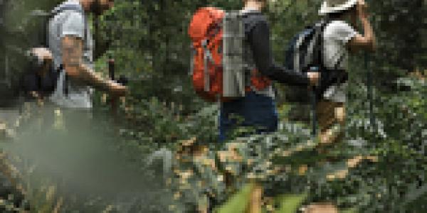 Rutas de senderismo en otoño