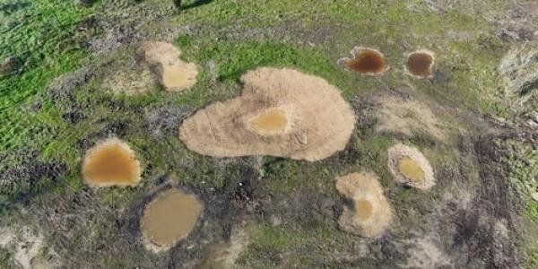 Nestlé colabora con otras entidades para mejorar el medio natural 