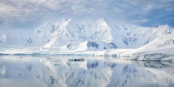 Bajo el hielo de la Antártida se encuentran nidos de peces