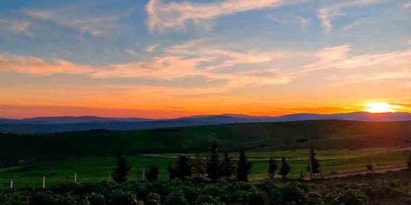 Imagen recurso de la naturaleza en Pixabay