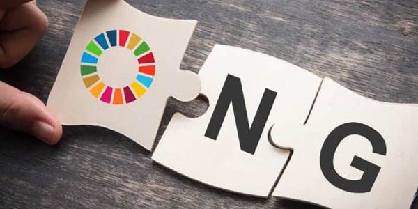 Compromisos de las ONG internacionales