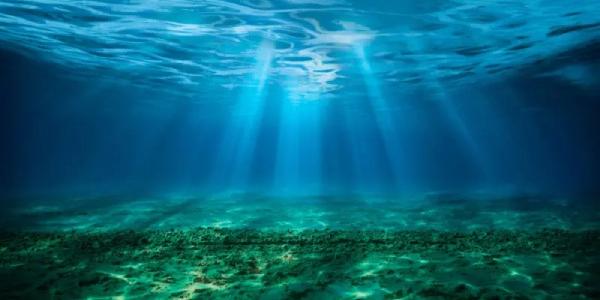 El oscurecimiento del océano es real, y la crisis climática tiene mucho que ver