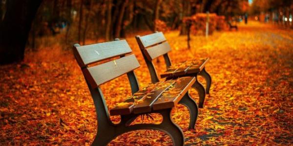 En un parque, el mobiliario urbano aparece rodeado de hojas secas 