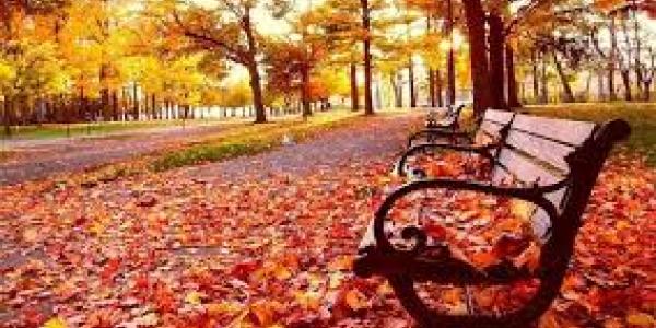 Descubre le otoño con estos pueblos