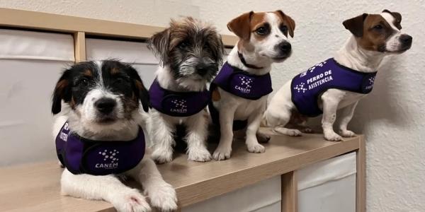 Algunos de los perros que forman parte del programa de CANEM Perros de Alerta.