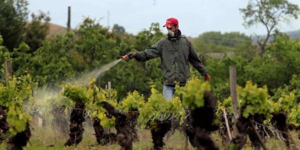 Problemas de plaguicidas y toxicidad