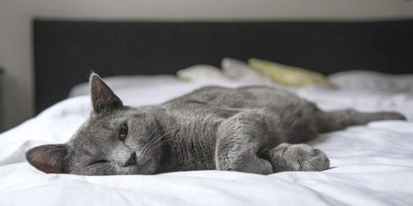 Preparar el dormitorio para relajarse y dormir bien