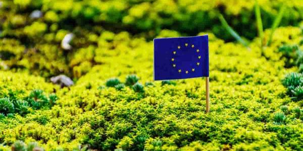 Inversión en protección ambiental