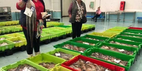 Pulpos en lonja gallega