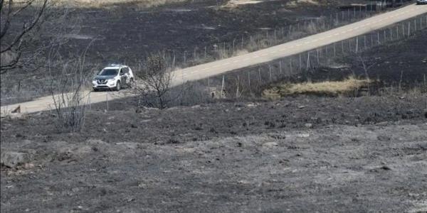 La Guardia Civil circula por una zona arrasada por el incendio forestal de Abejera. 