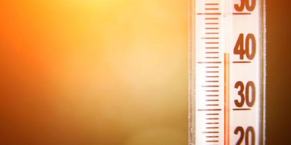 Récord térmico en 2025