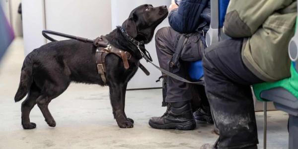 Renfe solicita a Cermi los asientos para personas con discapacidad