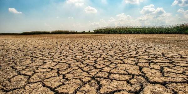 Paisaje desértico, causa de la sequía en el mundo