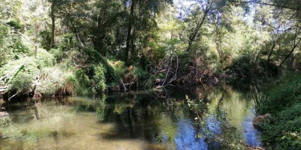 Zona de lodos contaminados en el río Jarama, que desemboca en el Tajo