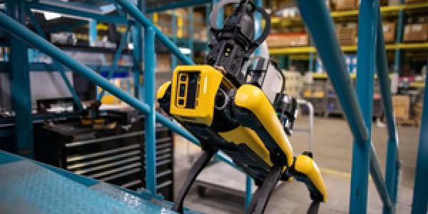 Roboperros para el medio ambiente