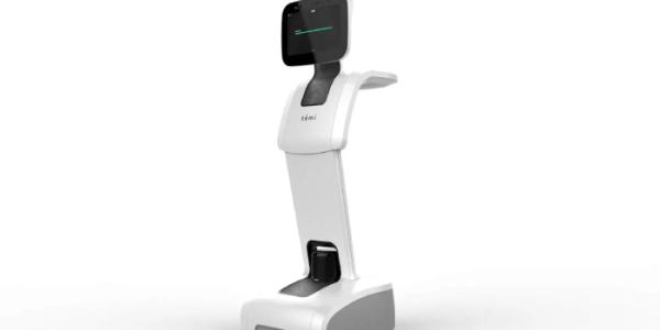 Robot Temi
