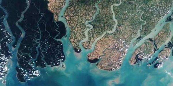 Imagen satelital Sentinel-2A de los Sundarbans en Bangladesh