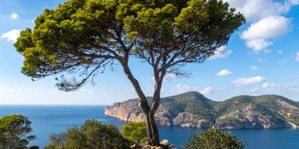 Protección del Mediterráneo