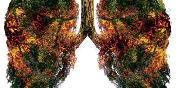 Salud, bienestar y cambio climático en la COP28