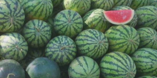 Las sandías con pesticida no autorizado de Marruecos