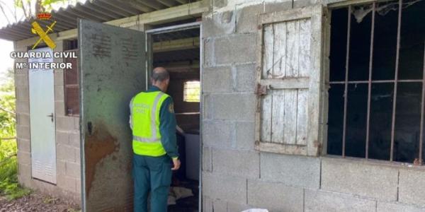 Uno de los registros efectuados por el Seprona para preservar el buen estado de los animales en la provincia de Pontevedra