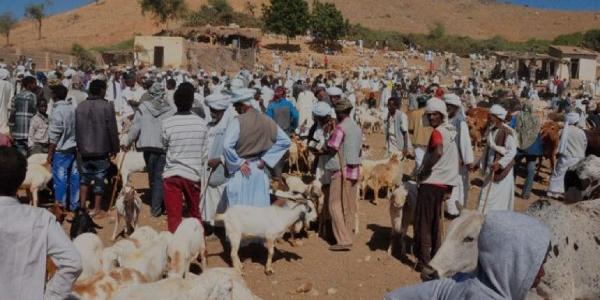 Así afecta la sequía al flujo migratorio