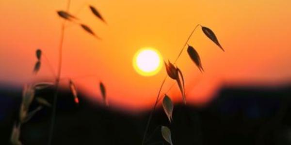 Luz del sol al amanecer y al atardecer