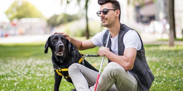 Perros de asistencia y su solicitud