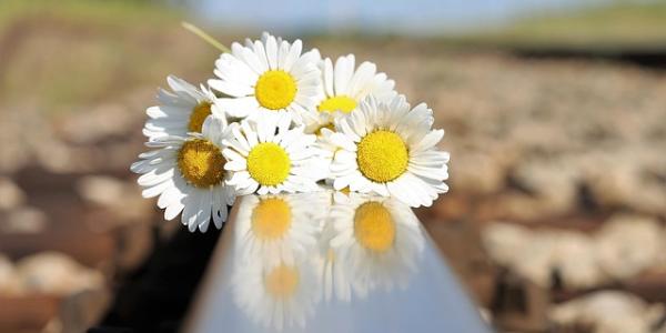 Ramo de flores en la vía del tren