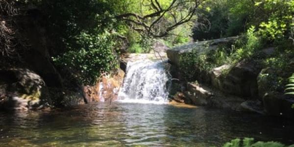 Losar de la Vera limita el uso del agua