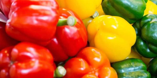 Superalimentos españoles