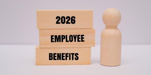 Representación del talento con un muñeco de madera