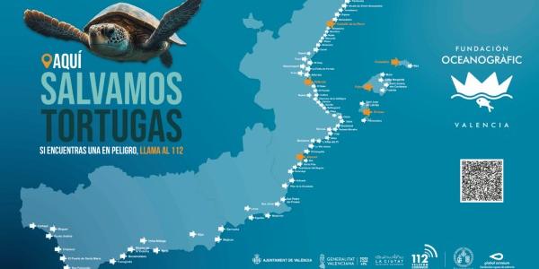 Infografía del Oceanográfic de Valencia sobre las tortugas en el Mediterráneo