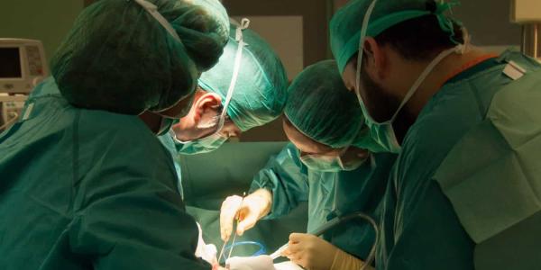 España se alza con los trasplantes en asistolia