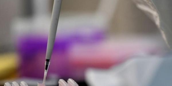 Vinculan el plástico con problemas en los adolescentes