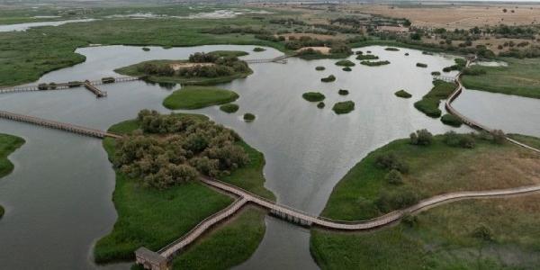 Imagen aérea de las Tablas de Daimiel con agua