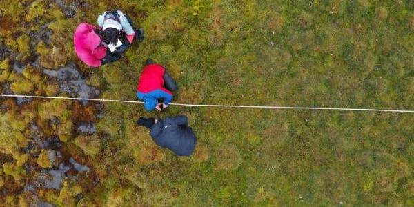 Imagen de dron del equipo de investigación en una de las turberas del Ártico