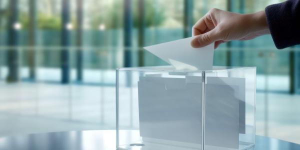 Una persona deposita su voto en una urna | Foto de 123RF/margoalexa