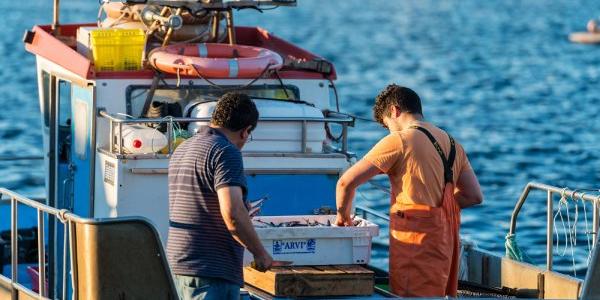 La cooperación entre Xunta y pescadores es cada vez más buena